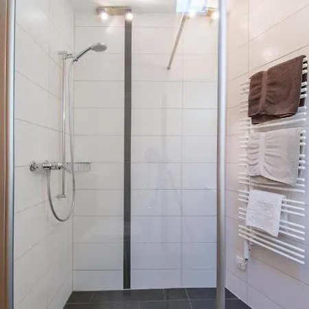 Apartment Chesa La Furia Dach Whg 45m2 By Interhome Pontresina
