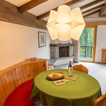 Chesa La Furia Dach Whg 45m2 By Interhome Apartment Pontresina