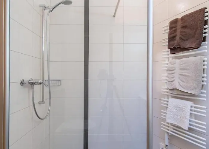 Apartamento Chesa La Furia Dach Whg 45m2 By Interhome Pontresina