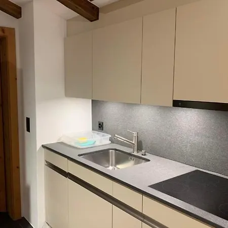 Chesa La Furia Dach Whg 45m2 By Interhome Appartamento *