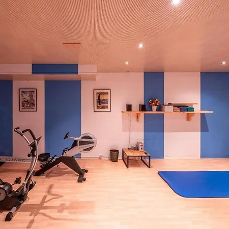 Chesa La Furia Dach Whg 45m2 By Interhome Appartamento Pontresina