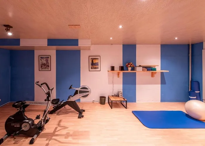 Chesa La Furia Dach Whg 45m2 By Interhome Appartamento Pontresina