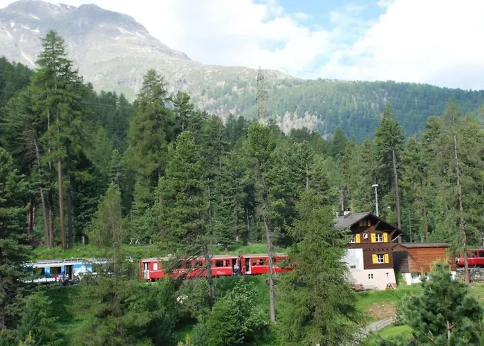 Appartamento Chesa La Furia Dach Whg 45m2 By Interhome *